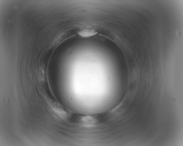 X0000083070183200702021304