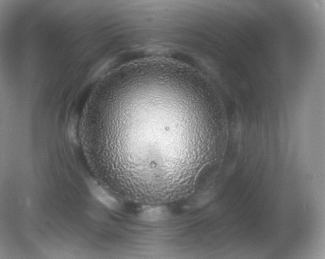 X0000083070185200702021304