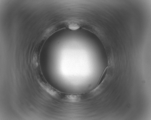 X0000083070187200702021304