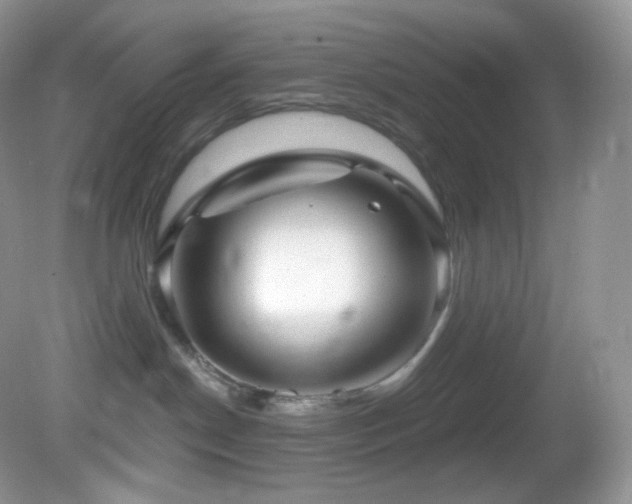 X0000083070190200702021304
