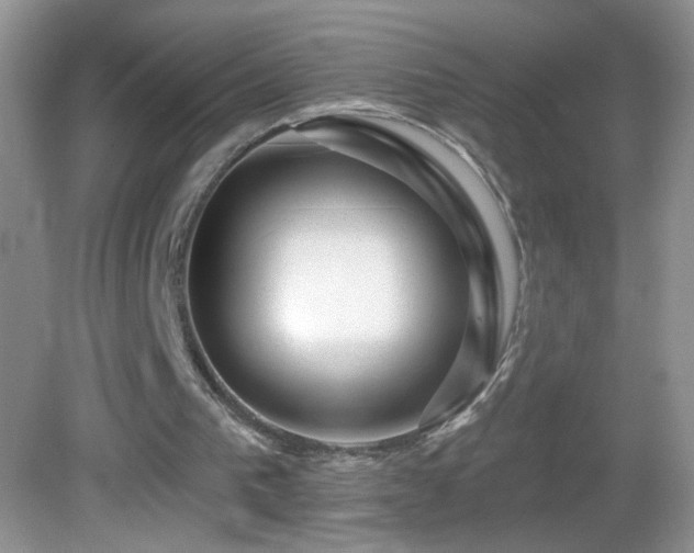X0000083070193200702021304