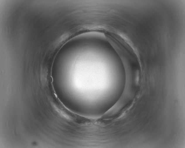 X0000083070201200702021303