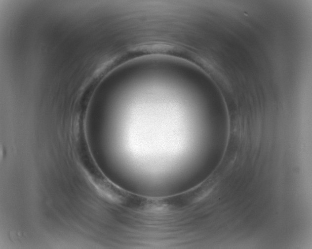X0000083070206200702021303