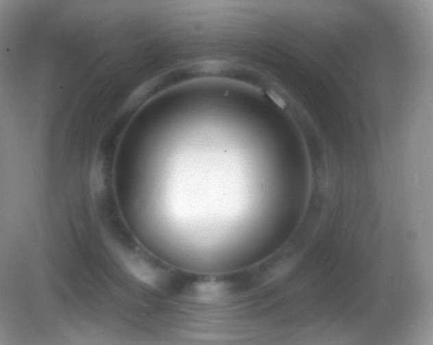 X0000083070216200702021303