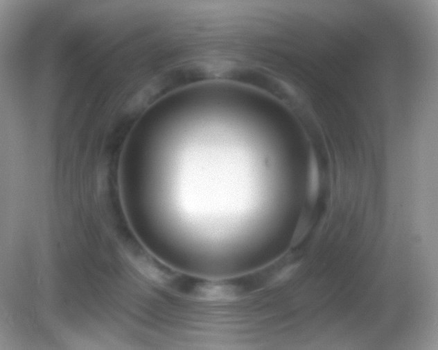 X0000083070221200702021303