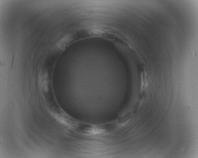 X0000083070223200702021303