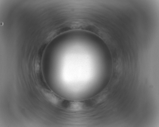 X0000083070226200702021303