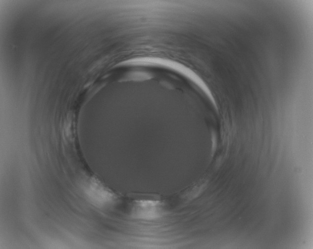 X0000083070233200702021303