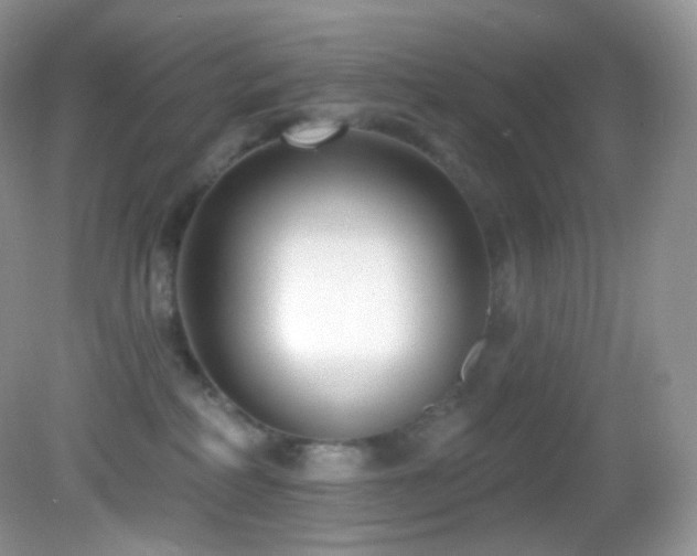 X0000083070234200702021303