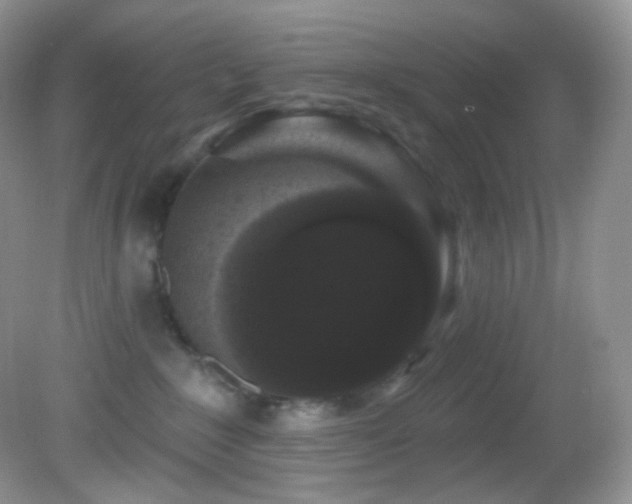 X0000083070235200702021303