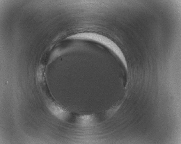 X0000083070237200702021303