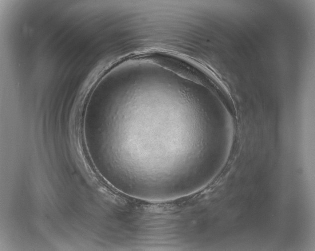 X0000083070241200702021302