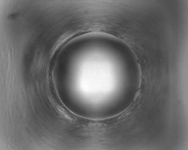 X0000083070242200702021302