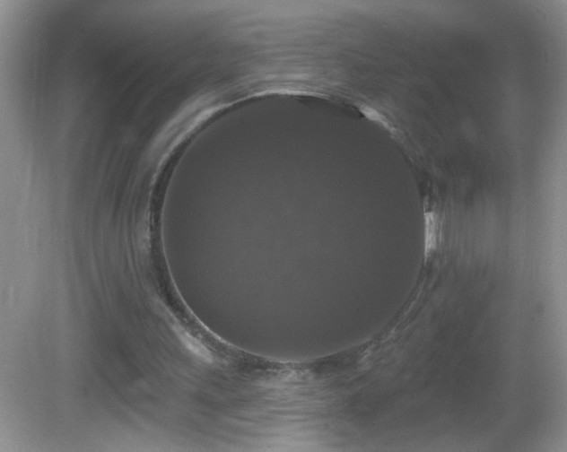 X0000083070243200702021302