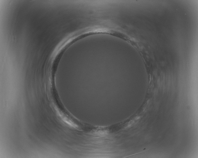 X0000083070247200702021302