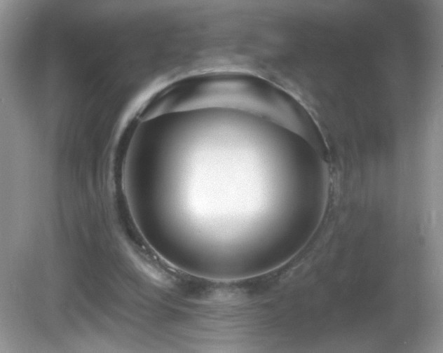 X0000083070248200702021302