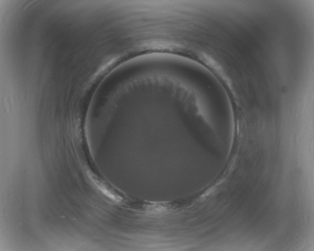 X0000083070249200702021302