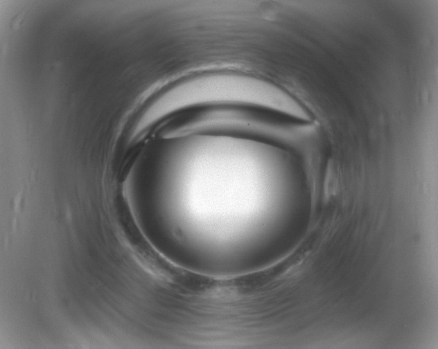 X0000083070252200702021302