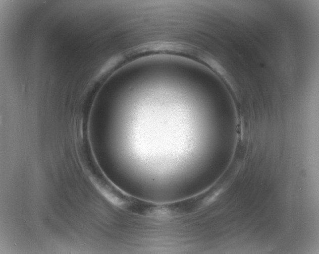 X0000083070253200702021302