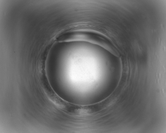 X0000083070255200702021302