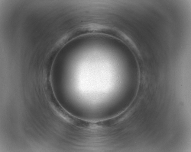 X0000083070257200702021302