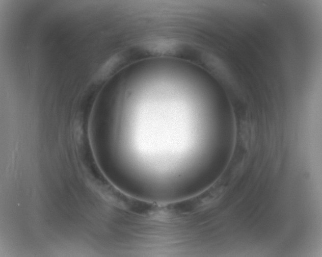 X0000083070259200702021302