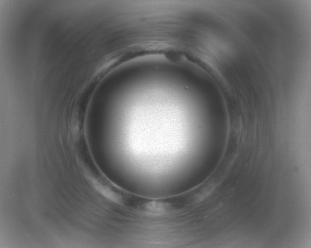 X0000083070261200702021302