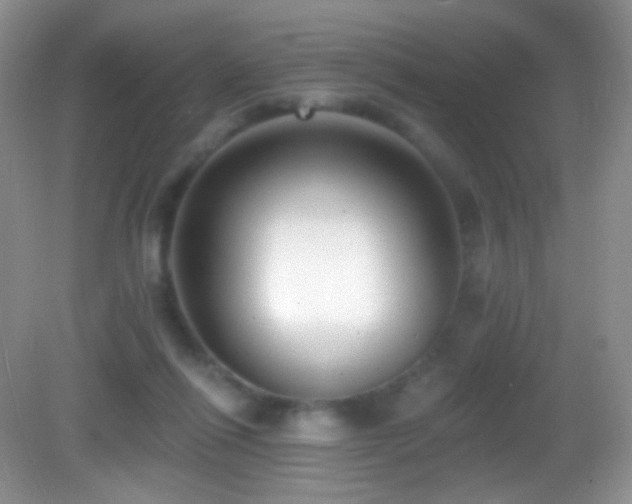 X0000083070262200702021302
