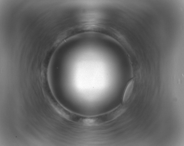 X0000083070265200702021302