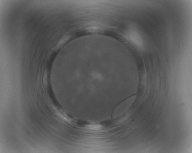 X0000083070266200702021302