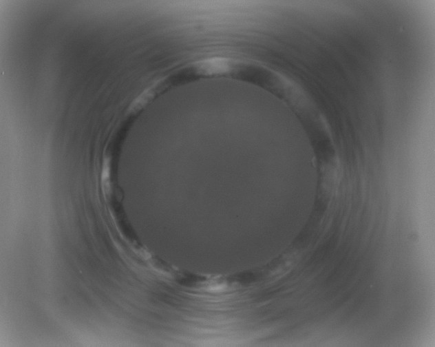 X0000083070267200702021302