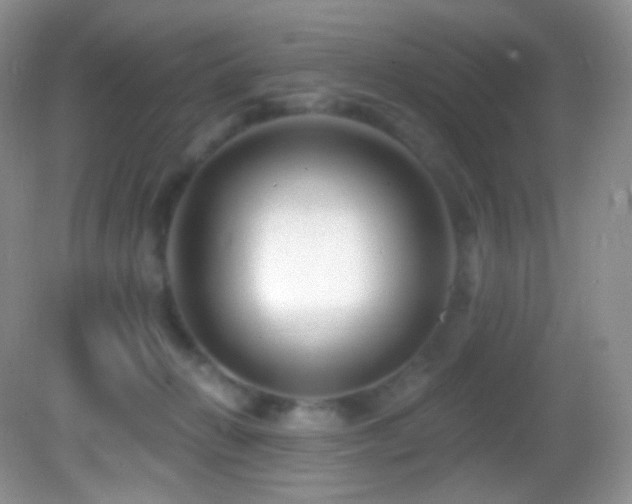X0000083070270200702021302