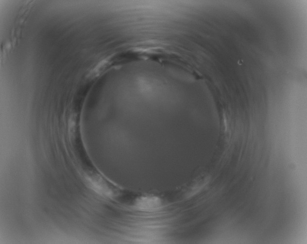 X0000083070271200702021302