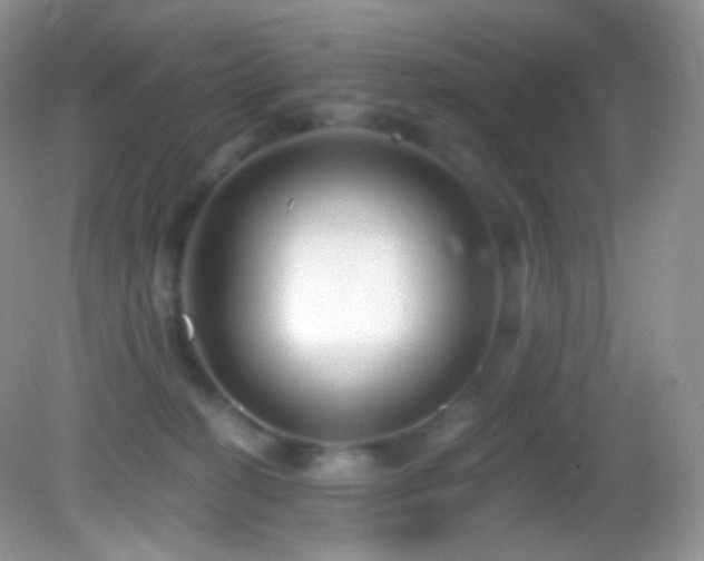 X0000083070274200702021303