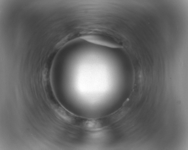 X0000083070275200702021303