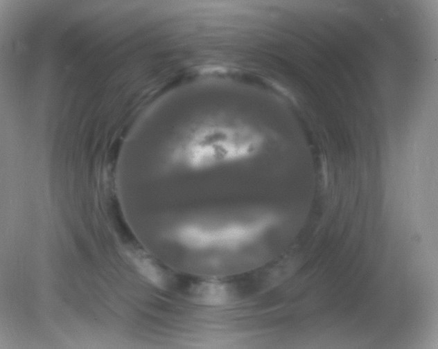 X0000083070276200702021303