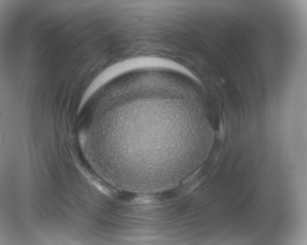 X0000083070280200702021303