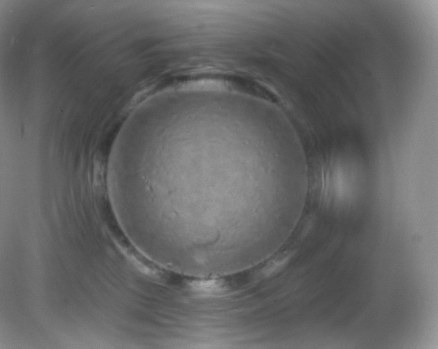 X0000083070281200702021303