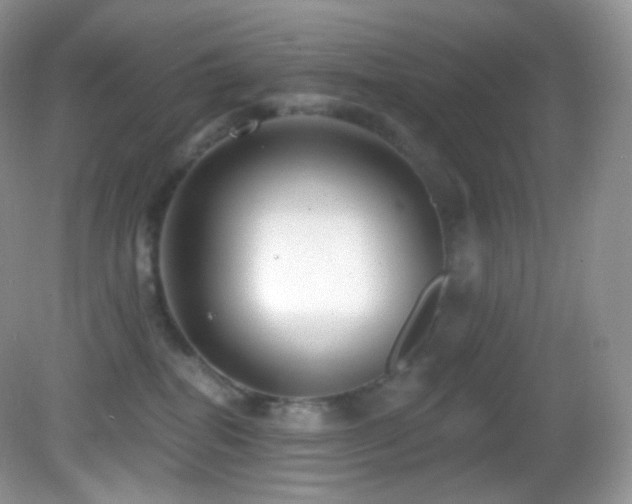 X0000083070282200702021303