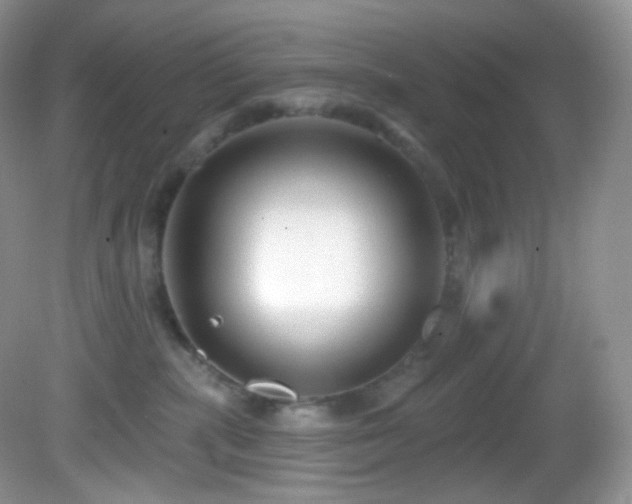 X0000083070283200702021303