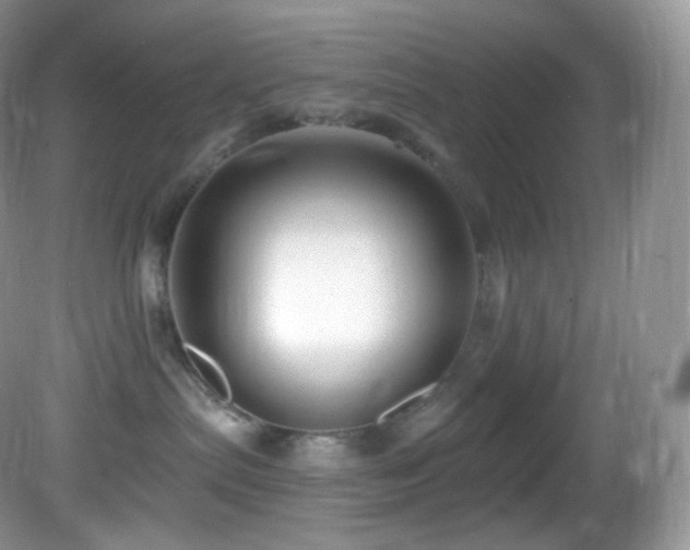 X0000083070287200702021303