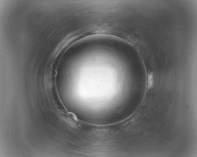 X0000083070291200702021302