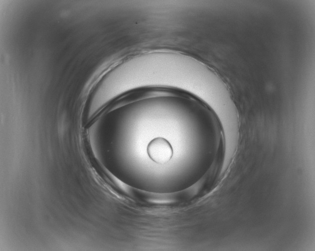 X0000083070293200702021302