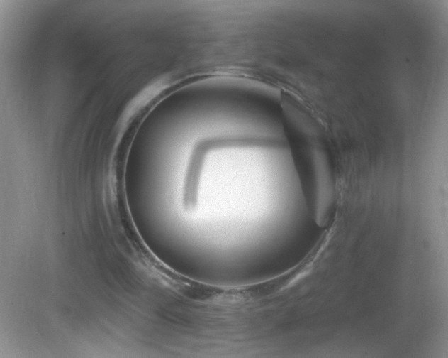 X0000083070294200702021302