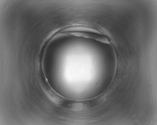 X0000083070298200702021302