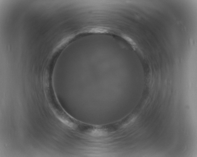 X0000083070303200702021302