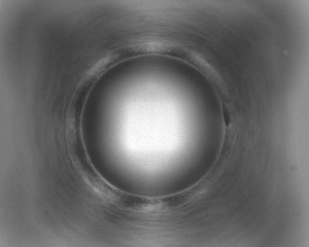 X0000083070306200702021302