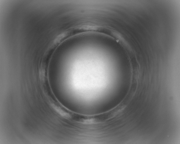 X0000083070309200702021302