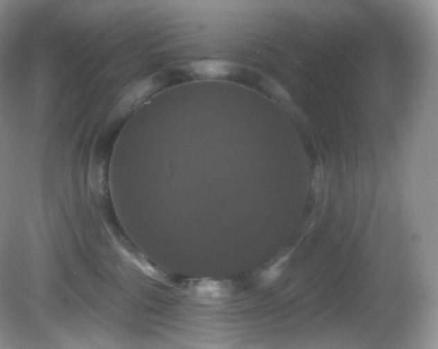 X0000083070330200702021301
