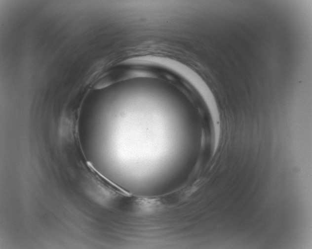 X0000083070333200702021301